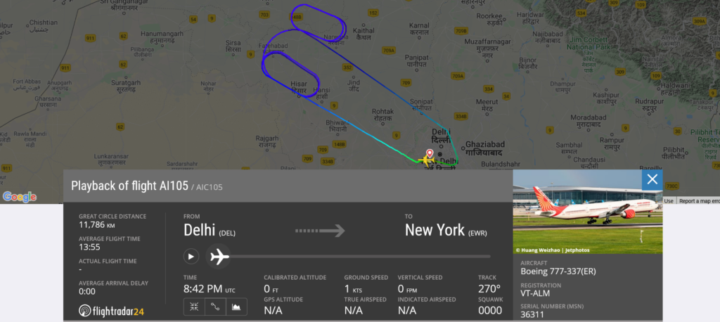 Air India flight AI105 from Delhi to New York returned to Delhi after bat was reported in cabin